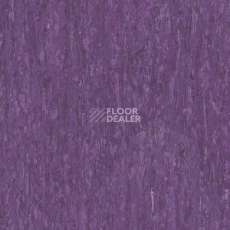 Линолеум Tarkett iq Optima LILCA 0256 фото 1 | FLOORDEALER